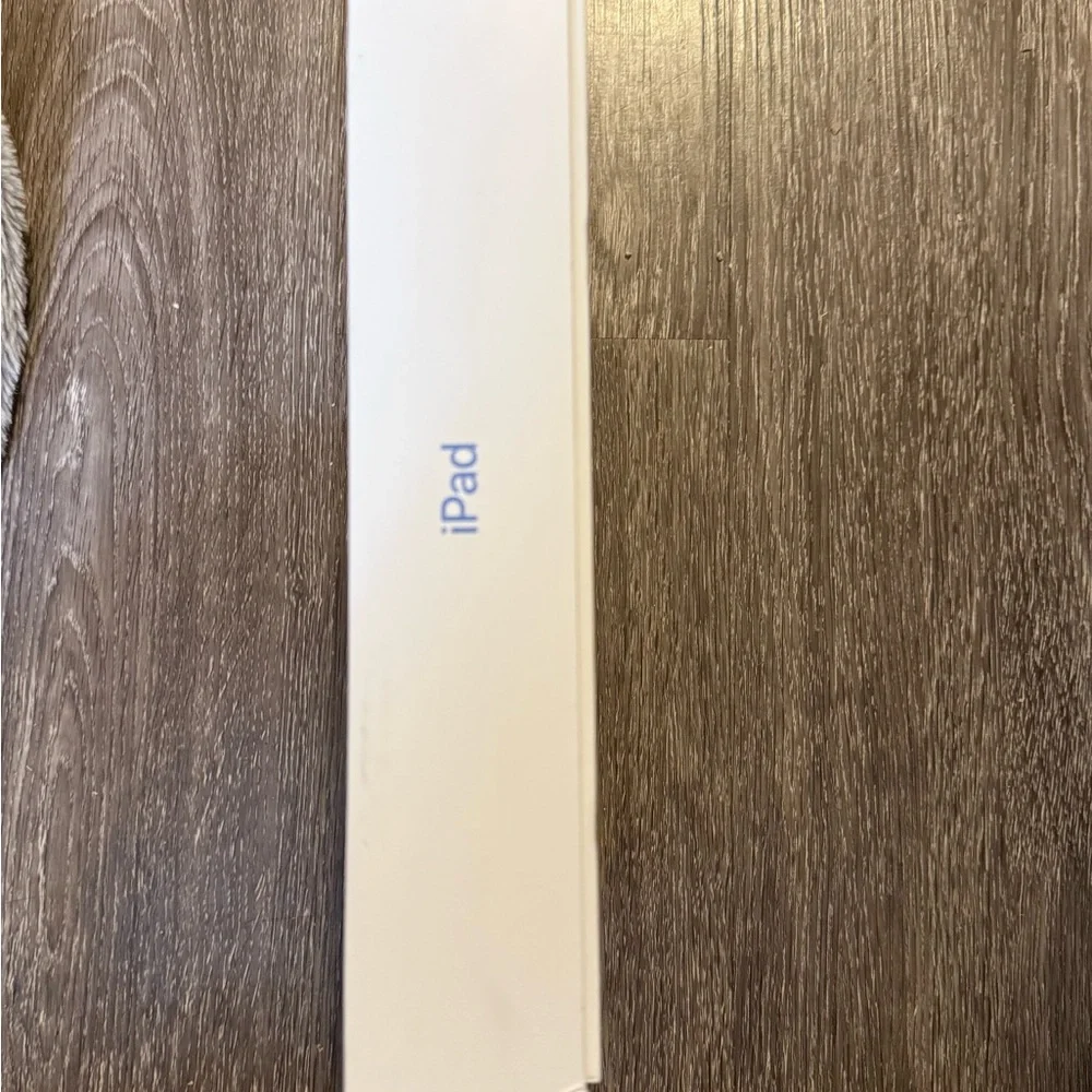 Apple iPad EMPTY BOX 10th generation blue 256 GB Apple stickers included
